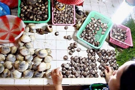 red tide alert philippines|Red tide alert: Public warned vs eating shellfish .